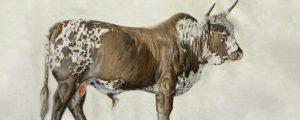 terry-kobus