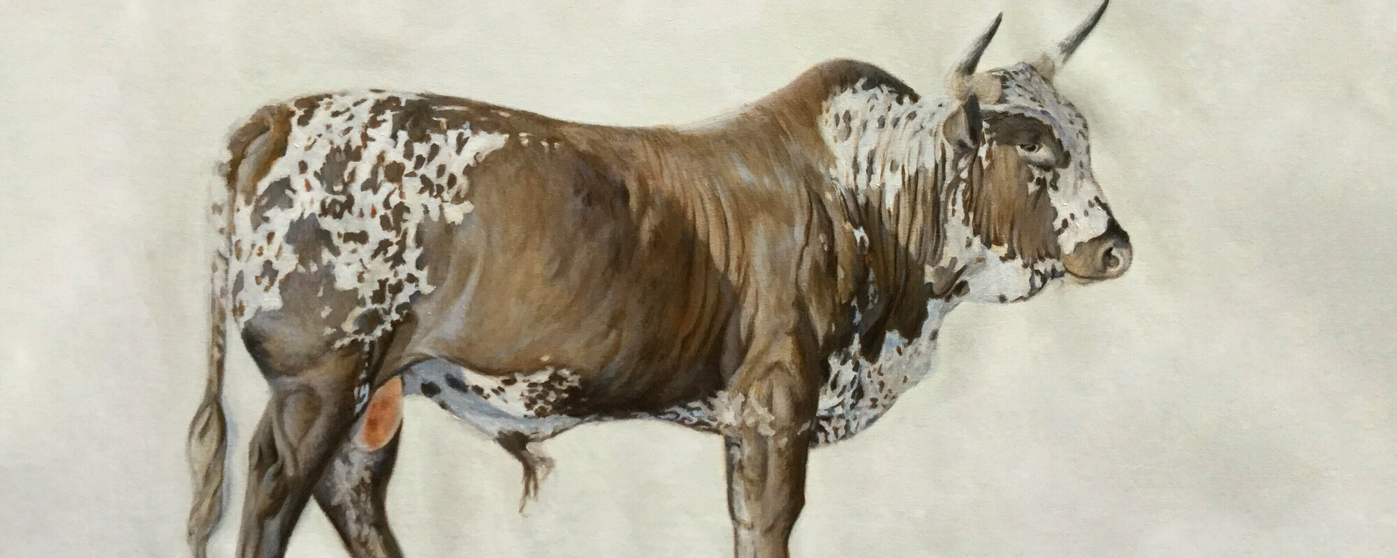 terry-kobus