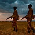 war-against-rhino-poachers