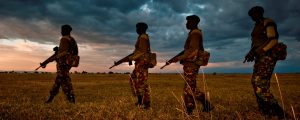 war-against-rhino-poachers